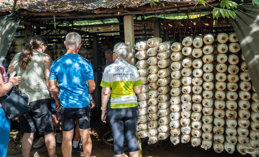 Siem Reap: Guided Countryside Bike Tour - Should you book the Siem Reap countryside bike tour?