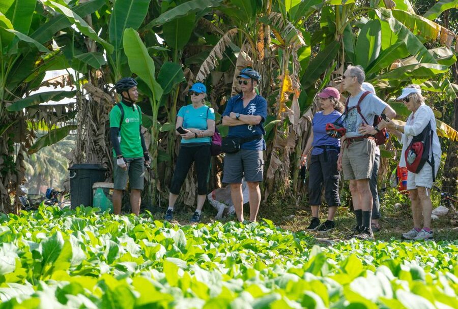 Siem Reap: Guided Countryside Bike Tour - Who will enjoy this ride most