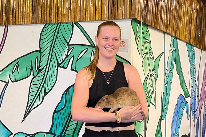 Siem Reap Guided Tour & Hero RATs at APOPO Visitor Center - Key points to know before booking