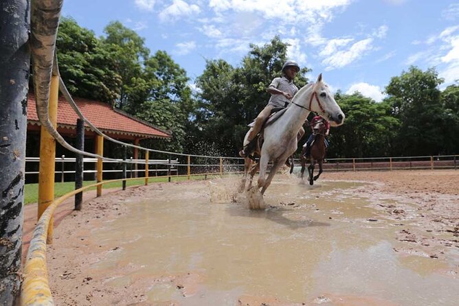 Siem Reap Happy Horse Riding Free Pick-up & Drop-off - Key points to know before you book