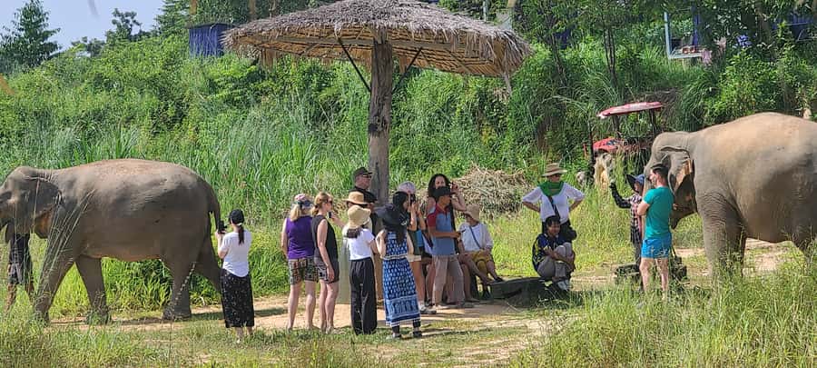 Siem Reap: Kulen Elephant Forest Guided Tour - Key points to know before you book
