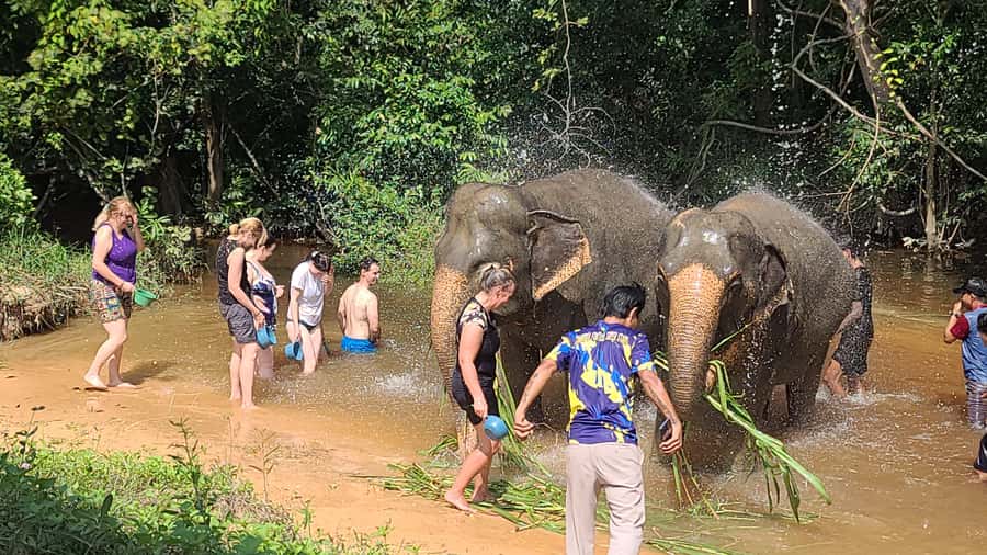 Siem Reap: Kulen Elephant Forest Guided Tour - Pond time and the most memorable photographs