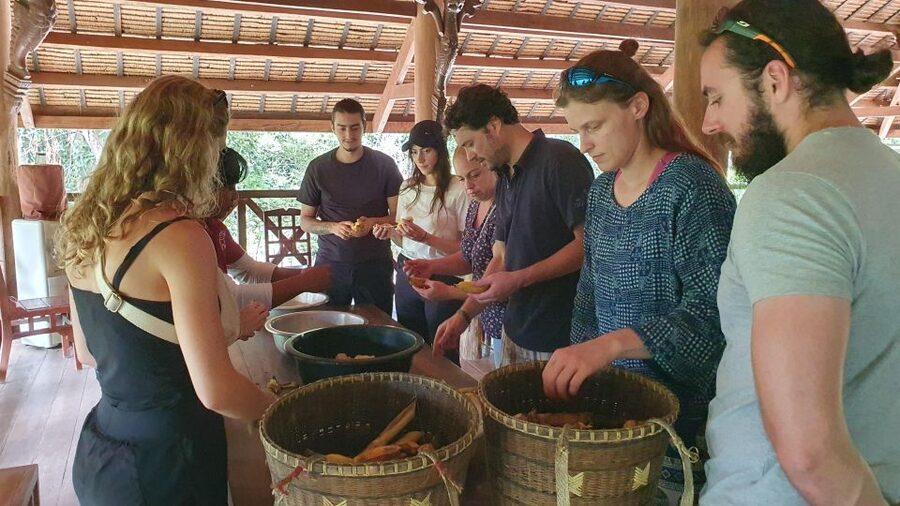Siem Reap: Kulen Elephant Forest Guided Tour - Lunch at base camp