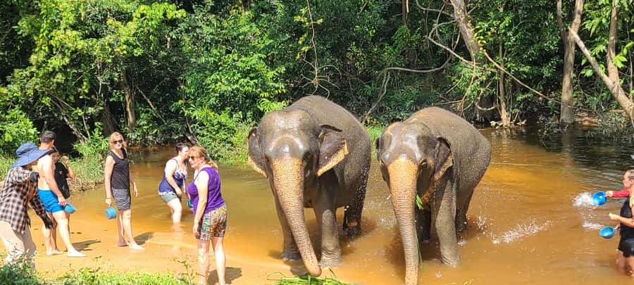 Siem Reap: Kulen Elephant Forest Guided Tour - What the $128 price includes