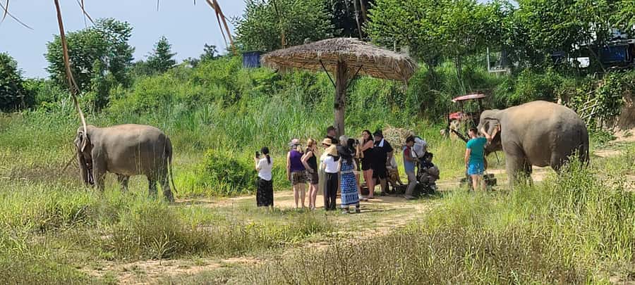 Siem Reap: Kulen Elephant Forest Guided Tour - Leaving Siem Reap for the forest