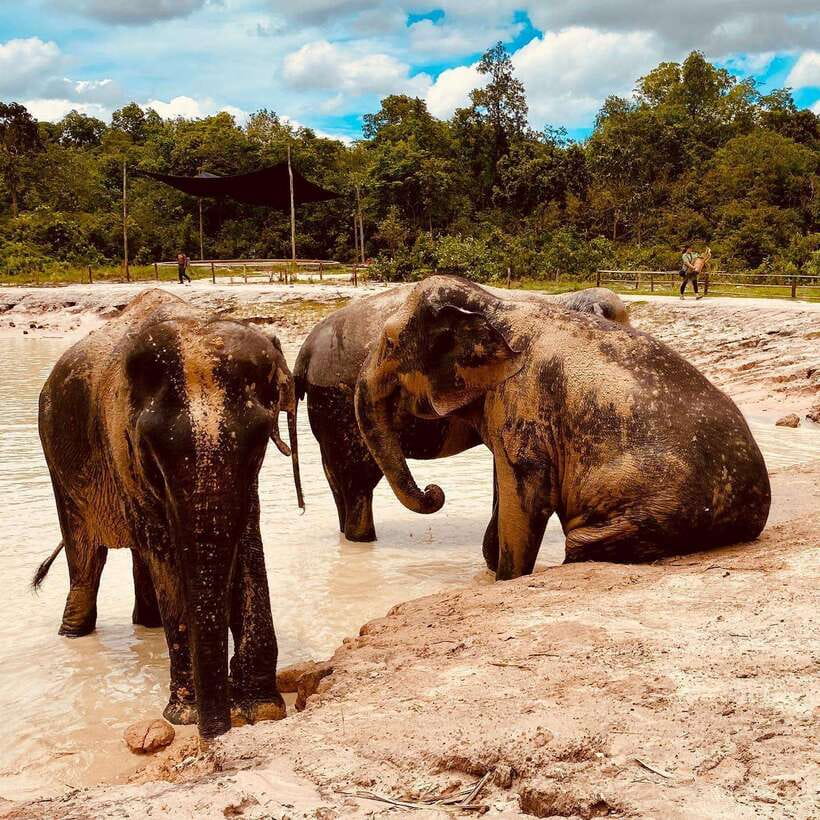Siem Reap: Kulen Elephant Forest & Tonlesap Lake - What makes the elephant visit feel responsible