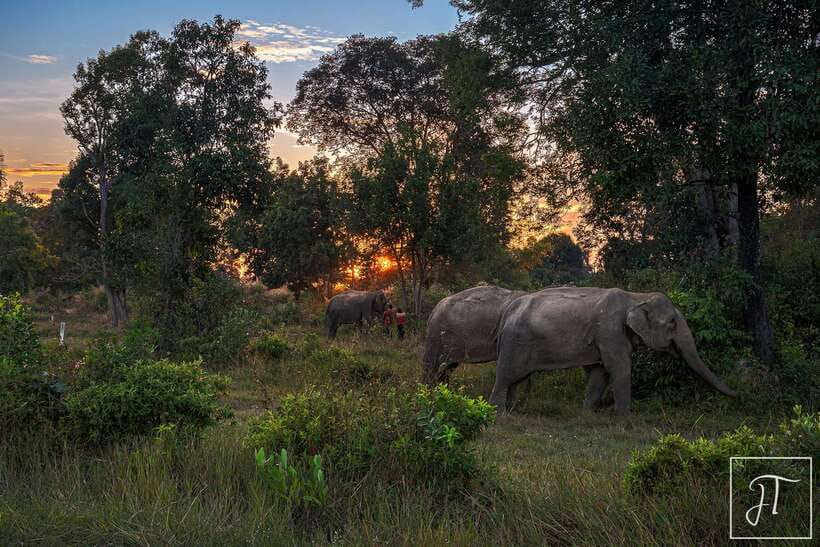 Siem Reap: Kulen Elephant Forest & Tonlesap Lake - Who will enjoy this seven-hour outing?