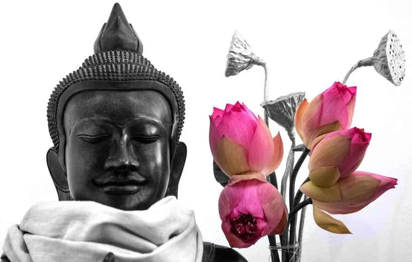 Siem Reap Lotus Silk Farm Discovery tour & Lake experience - Why this lotus farm makes a good break from Angkor