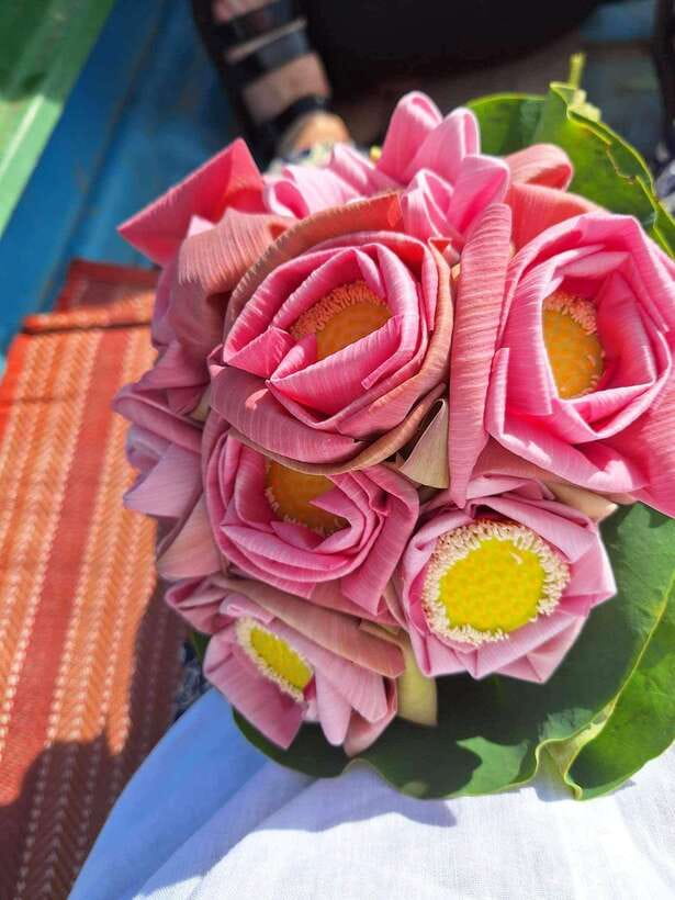Siem Reap Lotus Silk Farm Discovery tour & Lake experience - Watching lotus stems become silk