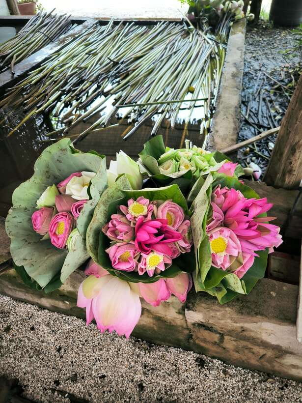 Siem Reap Lotus Silk Farm Discovery tour & Lake experience - The lotus lake boat ride is the highlight