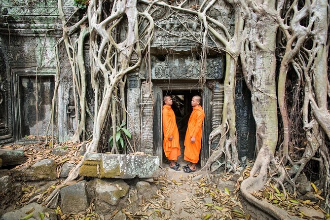 Siem Reap Private Day Tour: Angkor Wat Sunrise, Bayon & Ta Prohm - Ta Prohm shows nature taking over stone