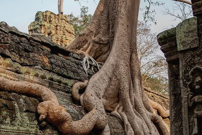 Siem Reap Private Full Day Angkor Wat Tour with Sunset or Sunrise - Choosing between sunrise and sunset