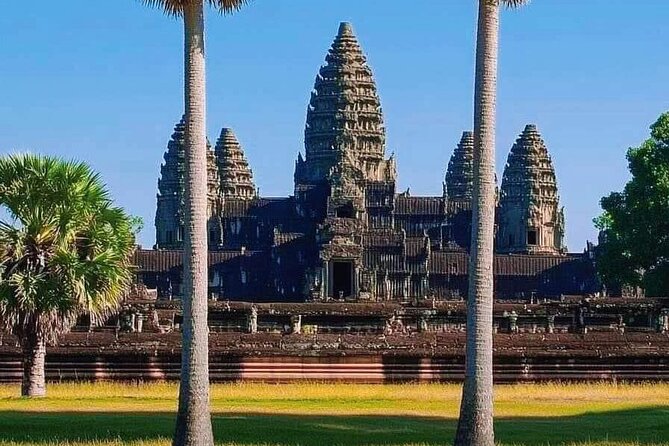 Siem Reap Private Full Day Angkor Wat Tour with Sunset or Sunrise - Ta Prohm, where stone meets trees
