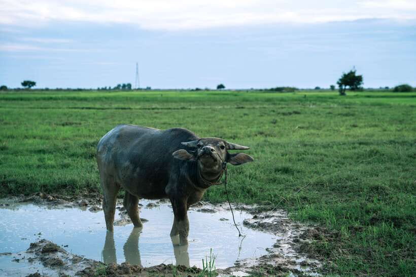 Siem Reap: Quad Bike Tour of Local Villages - Is $45 a fair price?