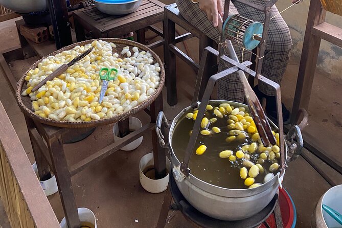 Siem Reap: Silk Farm & Countryside Offbeat Jeep Tour - The silk farm and the work behind the finished cloth