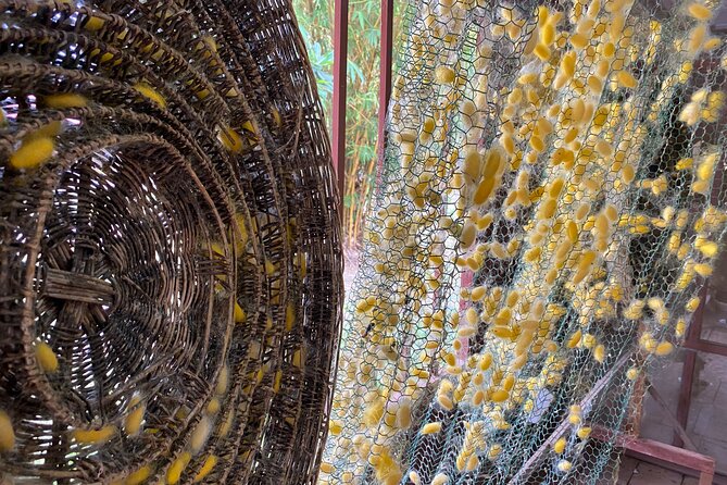 Siem Reap: Silk Farm & Countryside Offbeat Jeep Tour - How the $55 price works for you