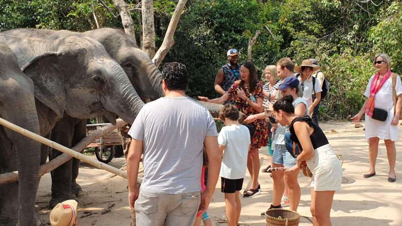 Siem Reap: Small Group Tour of Kulen Elephant Forest - Key points to know before you book