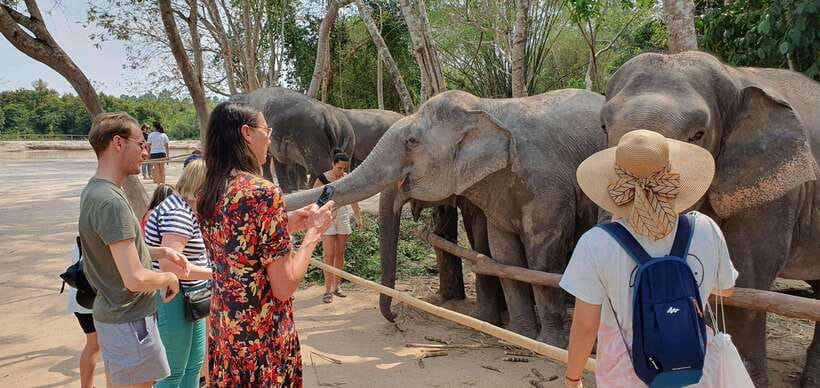 Siem Reap: Small Group Tour of Kulen Elephant Forest - Booking details worth knowing