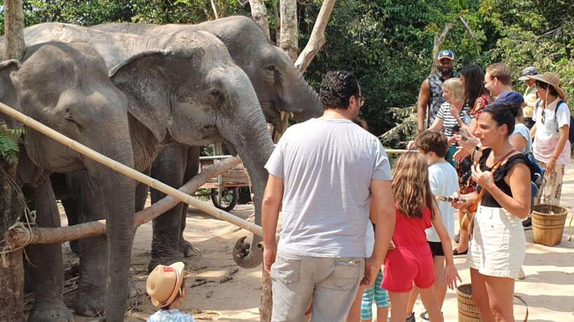Siem Reap: Small Group Tour of Kulen Elephant Forest - From Siem Reap to Kulen Elephant Forest
