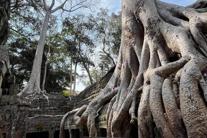 Siem Reap Temple Tuktuk Tour: Explore Angkor Wat and beyond. - Ta Prohm: roots, ruins, and the Tomb Raider connection