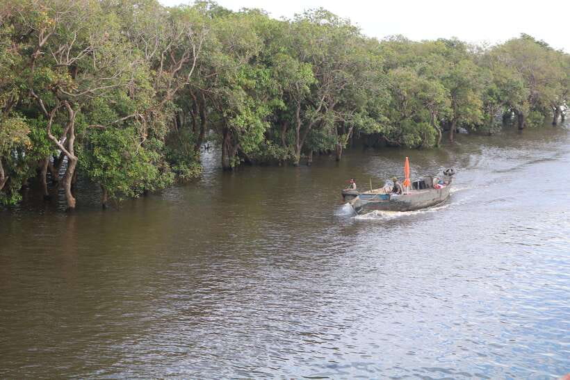 Siem Reap: Tonle Sap Lake - Fishing Village & Flooded Forest - Seeing fishing as work, not scenery