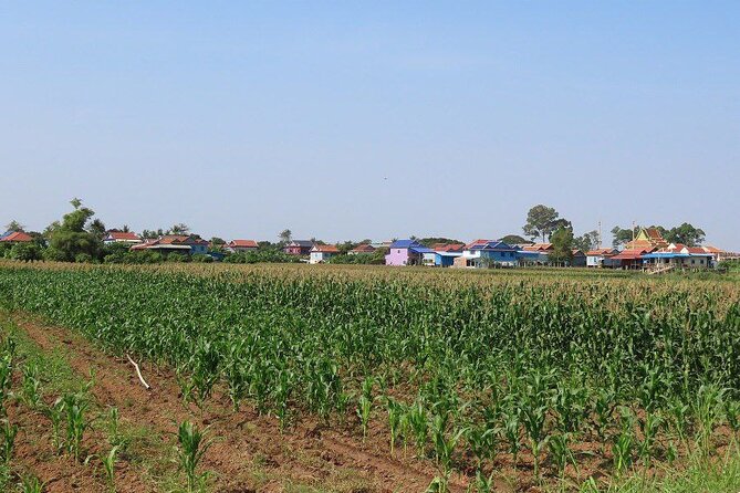 Silk Island at Twilight Cycle Encounter - What the $36 Price Really Covers