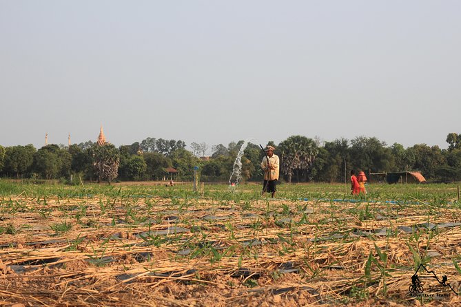 Silk Island & countryside of Phnom Penh by Tuk Tuk - Farms, tropical fruit, and the work of growing food