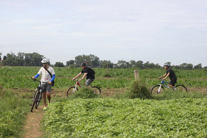 Silk Island Cycling Adventure & lunch with locals - Silk weaving and the work behind the finished scarf