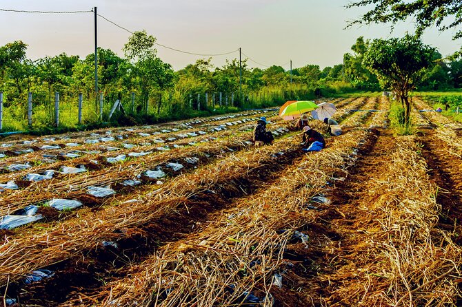 Silk Island Private Half-Day Tour from Phnom Penh - What the $97 price really covers