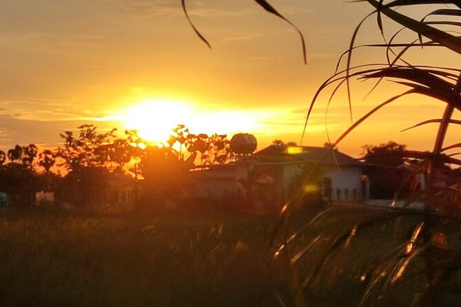 Small Group Countryside Bike Tours, Sunset & Picnic - Why the $17.50 price works