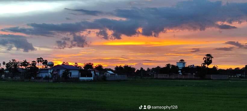 Small Group Countryside Sunset Bike Tours - Rice fields, lotus farms, and village life