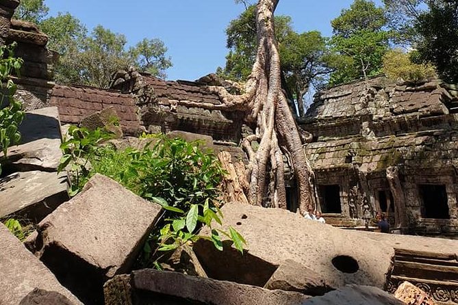 Special Three Days Angkor Tour - Should you book it?