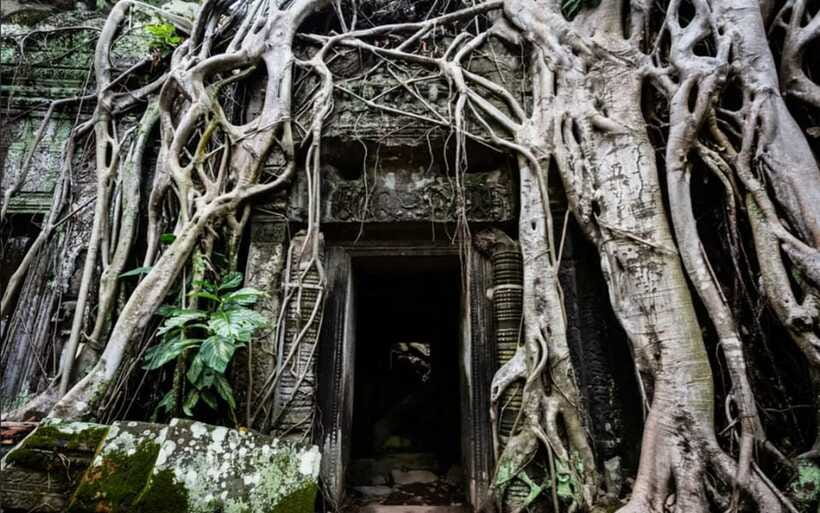 Sunrise at Angkor Wat and Small Tour with Tours Guide - Banteay Kdei adds a quieter final temple