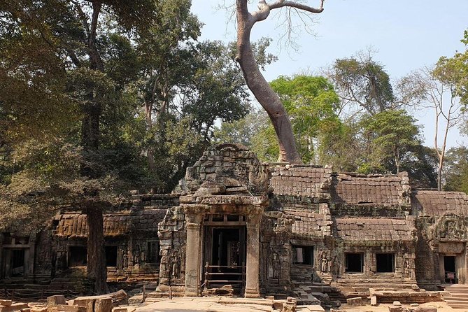 Sunrise Tour of Angkor Temples from Siem Reap - Should you book it?
