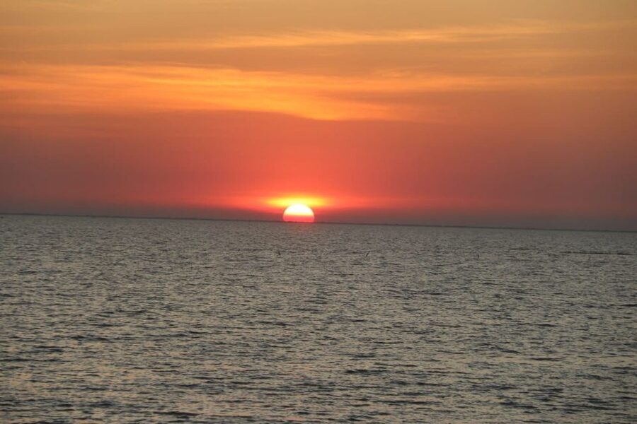 Sunset Dinner Tour: Tonle Sap Lake Floating Village - The crocodile and fish farm stop