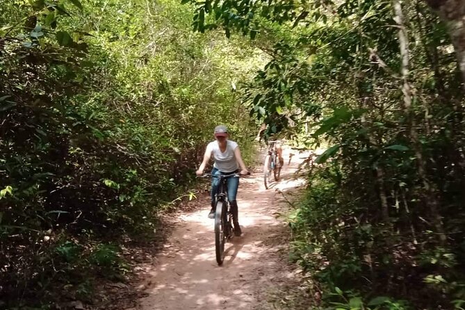 Sunset or sunrise bicycle tour around Angkor Wat and nearby temples - Ta Prohm: jungle roots and movie fame