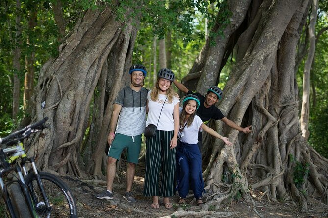 Sunset or sunrise bicycle tour around Angkor Wat and nearby temples - Phnom Bakheng makes the sunset version more relaxed