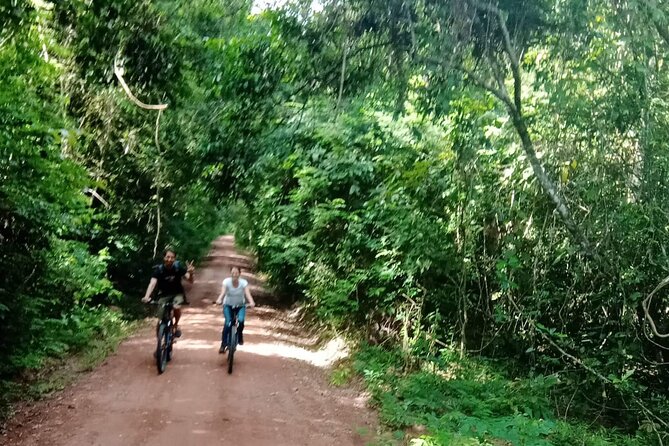 Sunset or sunrise bicycle tour around Angkor Wat and nearby temples - Angkor Thom and Bayon: faces at the center of the route