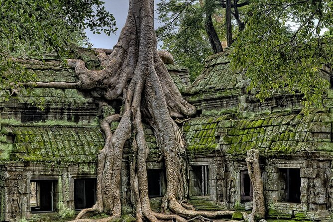 The Angkor Temples from Sunrise by Tuk Tuk - Angkor Wat: more than a sunrise photograph