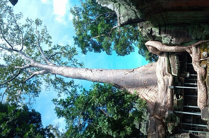 The Magnificent Angkor Wat - What the guide adds to the day