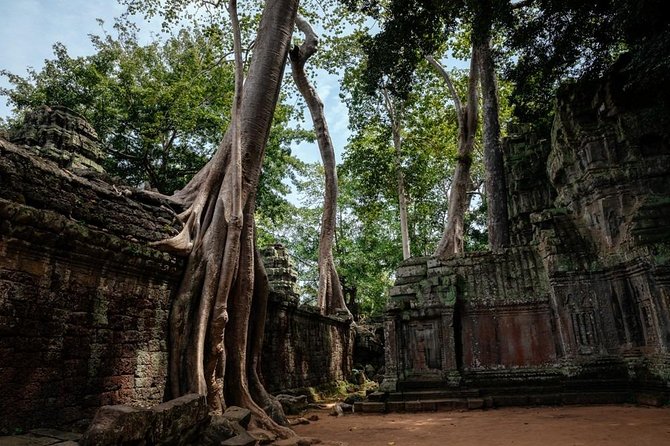 The Ultimate Angkor Wat Temple Private Day Trip - Ta Prohm and the jungle-temple atmosphere