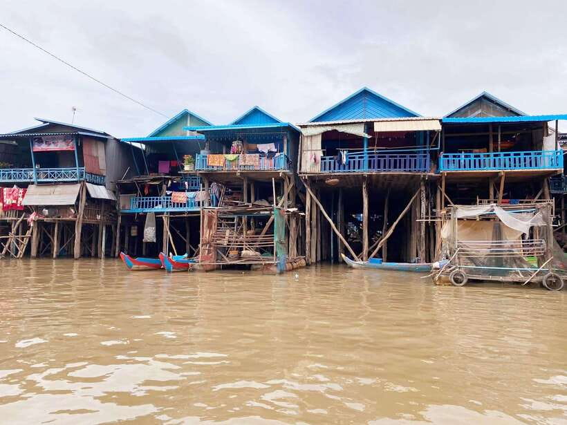 Tonle sap, Kompong Phluk (Floating village) Private Tour - The floating forest by small boat