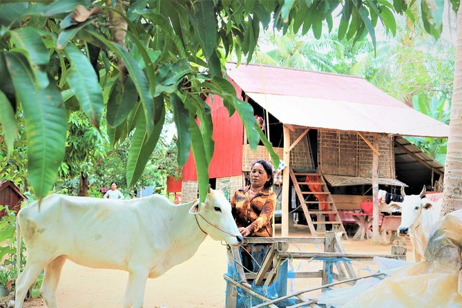 Tonle Sap Lake - Fishing Village & Flooded Forest - Morning or afternoon: which departure suits you?