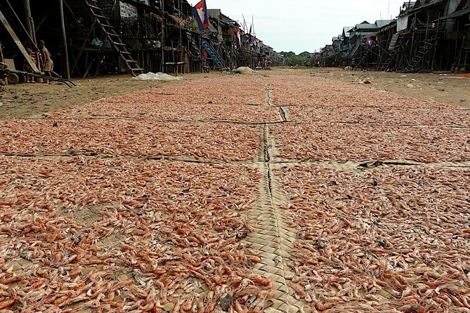 Tonle Sap Lake & Kampong Phluk Village Half-Day Tour - What you see inside the village