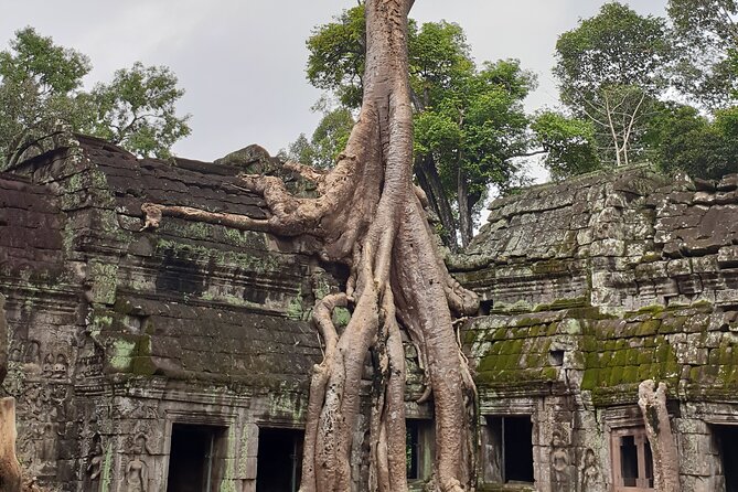 Two Days Angkor Tour - Who will get the most from these two days