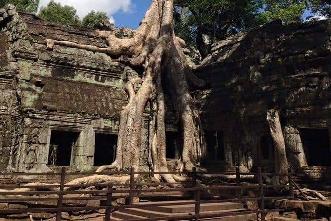 Ultimate Siem Reap Food Tour by Tuk Tuk - 20 Tastings, 8 Stops - Stop 7: seafood and Kampot pepper at Wat Bo