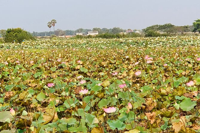 War Museum, Killing Field and Floating village ( Chong Kneas) Tour - The War Museum and Cambodia’s civil war